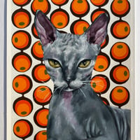 Image 1 of Sphynx cat print