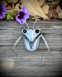 Image 1 of Man Eater Pin