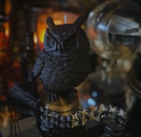 Image 1 of The Night Owl