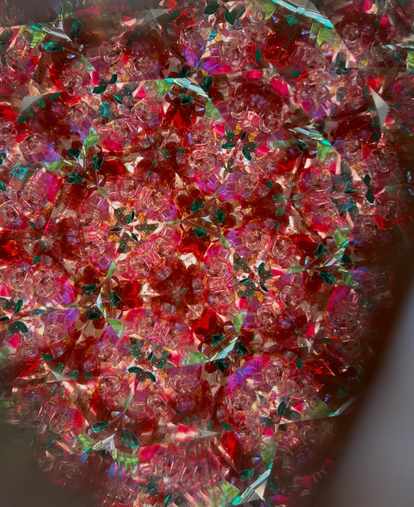 Image of Red Rose Garden AuraScope