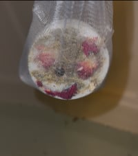 Image 2 of SAFE SOAP BAR