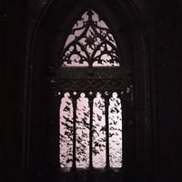 The Bats Have Left the Belltower signed print 