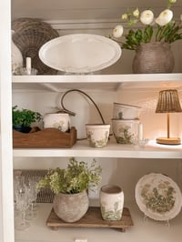 Image 2 of Scallop Display Tray 
