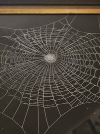 Image 5 of Large Antique Framed Web 