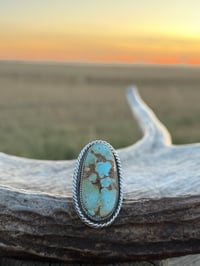 Image 4 of The Golden Range