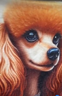 Free Shipping-Poodle Blanket