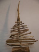 Image of Tree / dlm304b