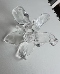 Image 5 of BUTTERFLOWER