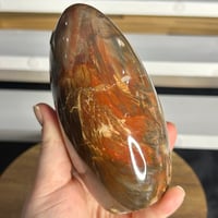 Image 3 of Petrified Wood Freeform (46A)