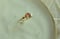 Image of 9k gold & Turmalin Ring