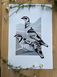 Image 1 of Grouse
