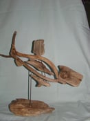 Image of Fish / 403