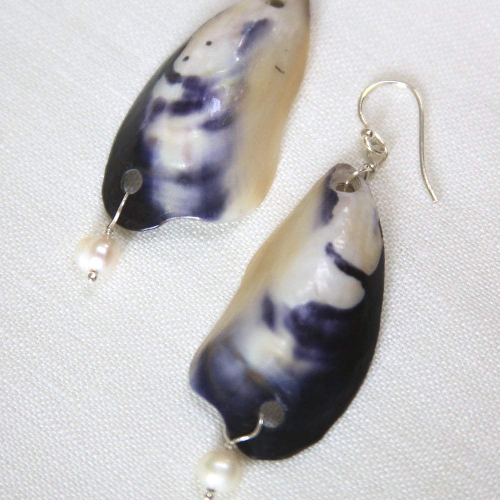 Image of California Mussel Earrings