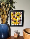 Indian Blanket, Nasturtium, Sunflower & Red Cone Wildflowers In 8" X 10" Shadow Box (Item# 202204LS)