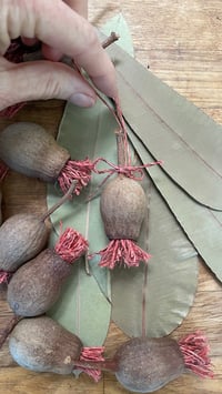 Image 3 of Gum nut decorations 