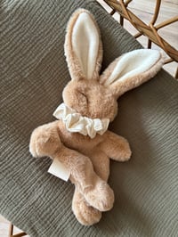 Image 1 of DOUDOU LAPIN CORPS MOU