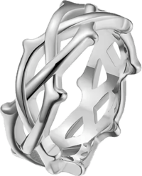 Image 2 of Thorn Ring