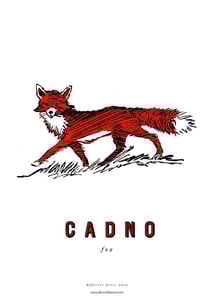 fforest cymraeg prints: cadno (fox) Image of  fforest cymraeg prints: cadno (fox)