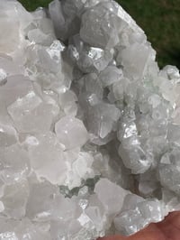 Image 18 of UV Fujian Calcite With Green Fluorite Specimen #890
