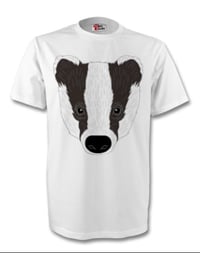 Image 3 of Badgers