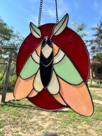 Image 2 of Sweet Moth - Light