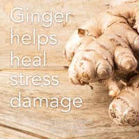 Image 5 of Ginger & Turmeric Root Extract 