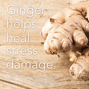 Image of Ginger & Turmeric Root Extract