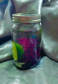 Image 1 of DIY Seamoss Blend FRESH for home
