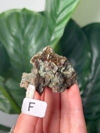 Image 9 of SMALL HALF POLISHED HIMALAYAN RUTILE IN QUARTZ CLUSTERS