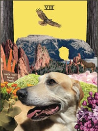 Image 1 of Pet Portraits