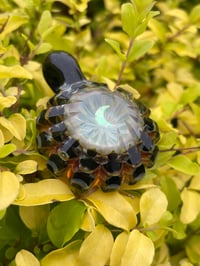 Image 5 of DarkSide Luna