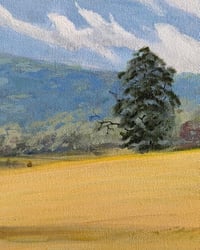 Image 6 of Candler Hay Bales