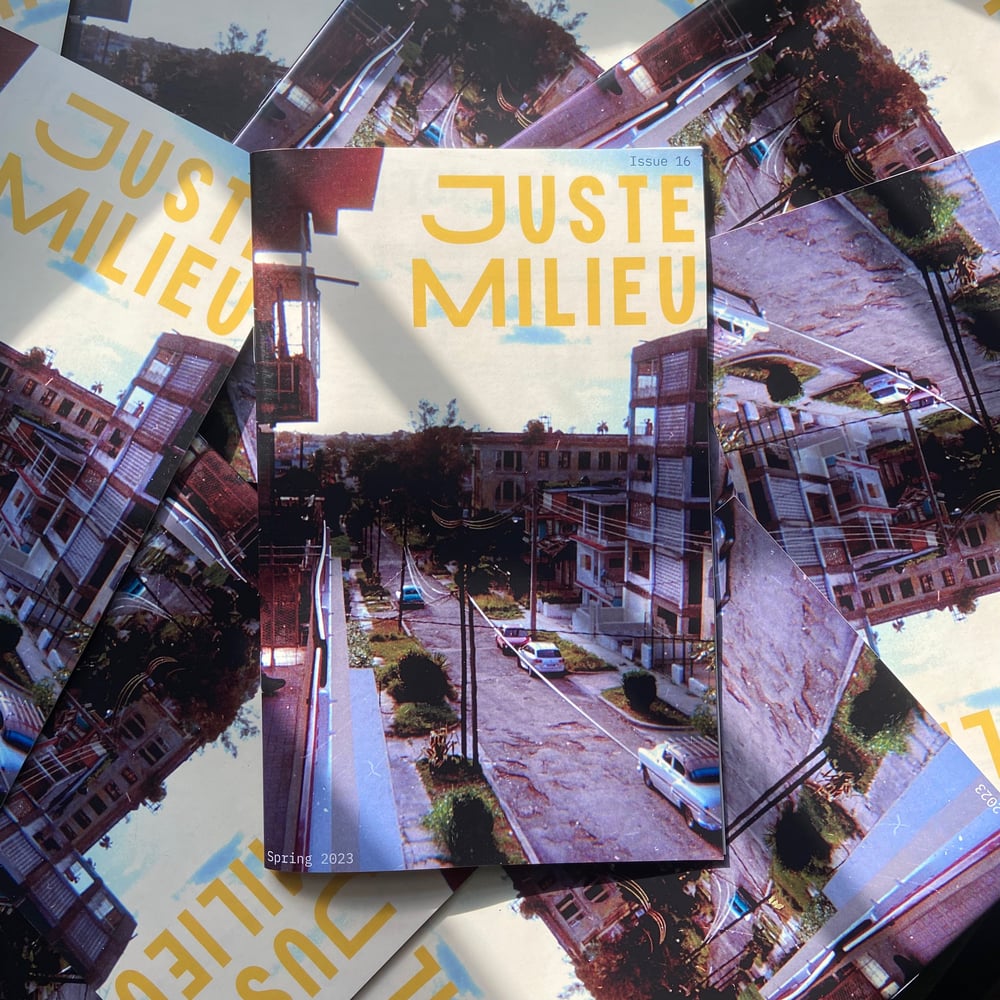 Image of Juste Milieu Issue 16