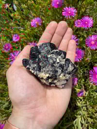 Image 3 of Black Tourmaline Cluster