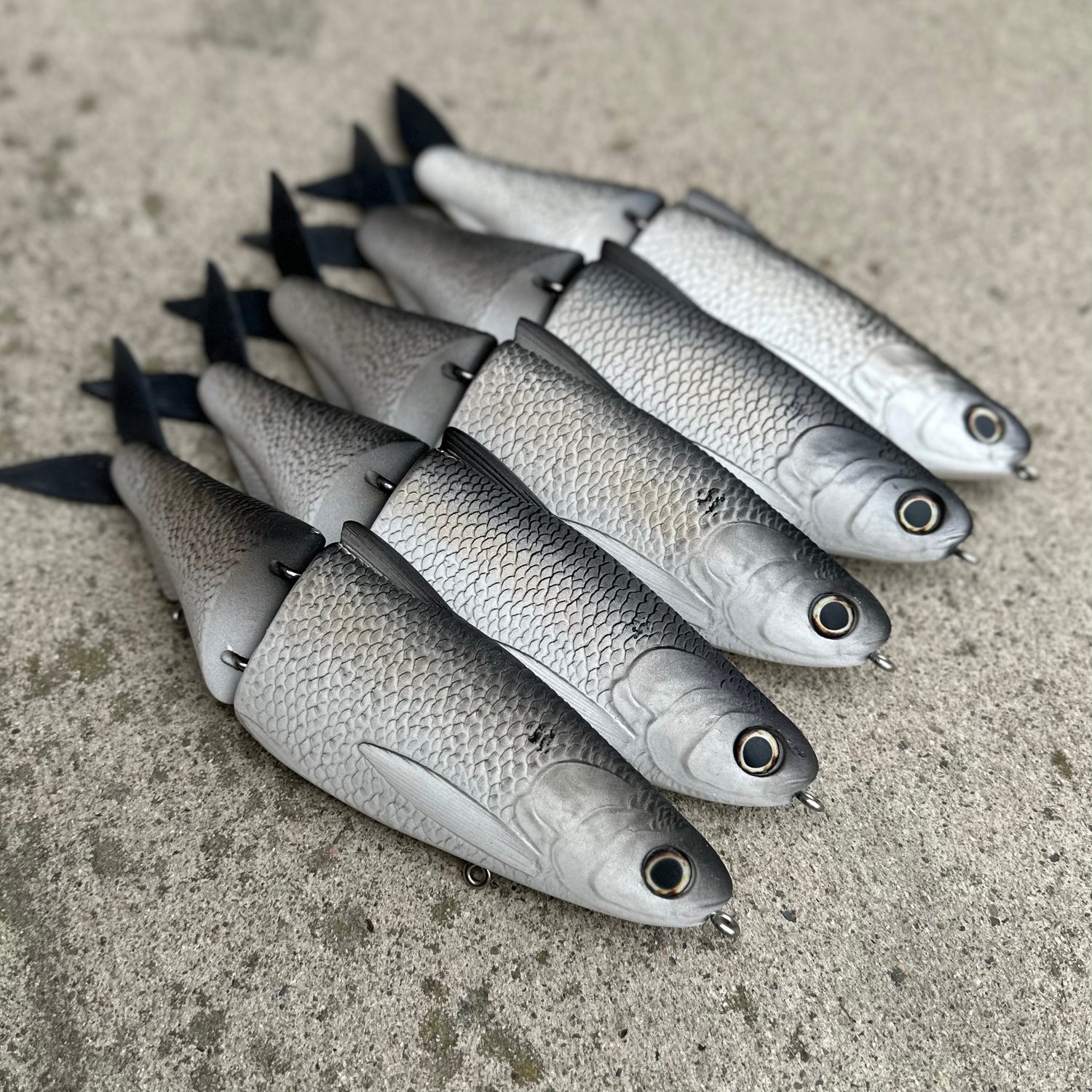Image of 11 inch Shad