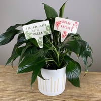 Image 3 of Funny Plant Stakes