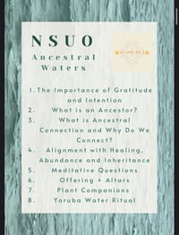 Image 2 of NSUO : Ancestral Waters Resource