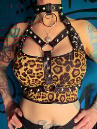 Image 2 of "STAR" conchos harness with studs