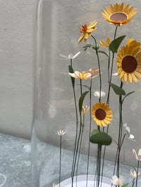 Image 5 of Jardin intérieur, fleurs sous cloche XL -2