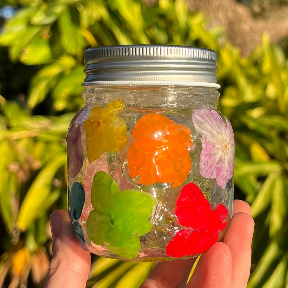 Image of lil rainbow hydrangea jar