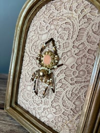 Image 2 of Sunflower Spider