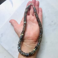 Image 4 of *new* XL LABRADORITE SHORTY