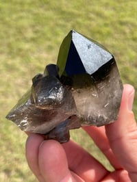 Image 10 of Smoky Quartz Points Cluster #2000
