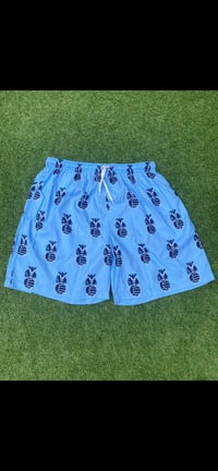 Image 1 of Retro Swimshorts 