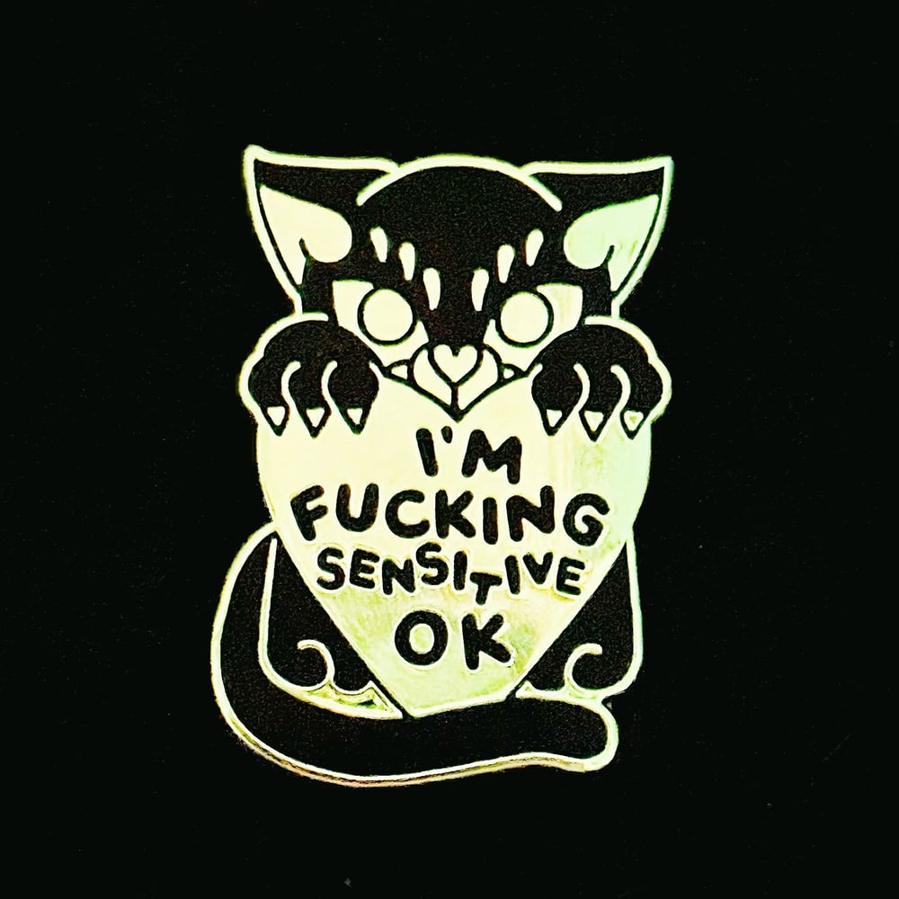 Image of Sensitive cat enamel pin