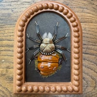 Image 3 of Pumpkin spider (a, 5x6 inches)