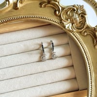 Image 4 of SILVRA HUGGIES