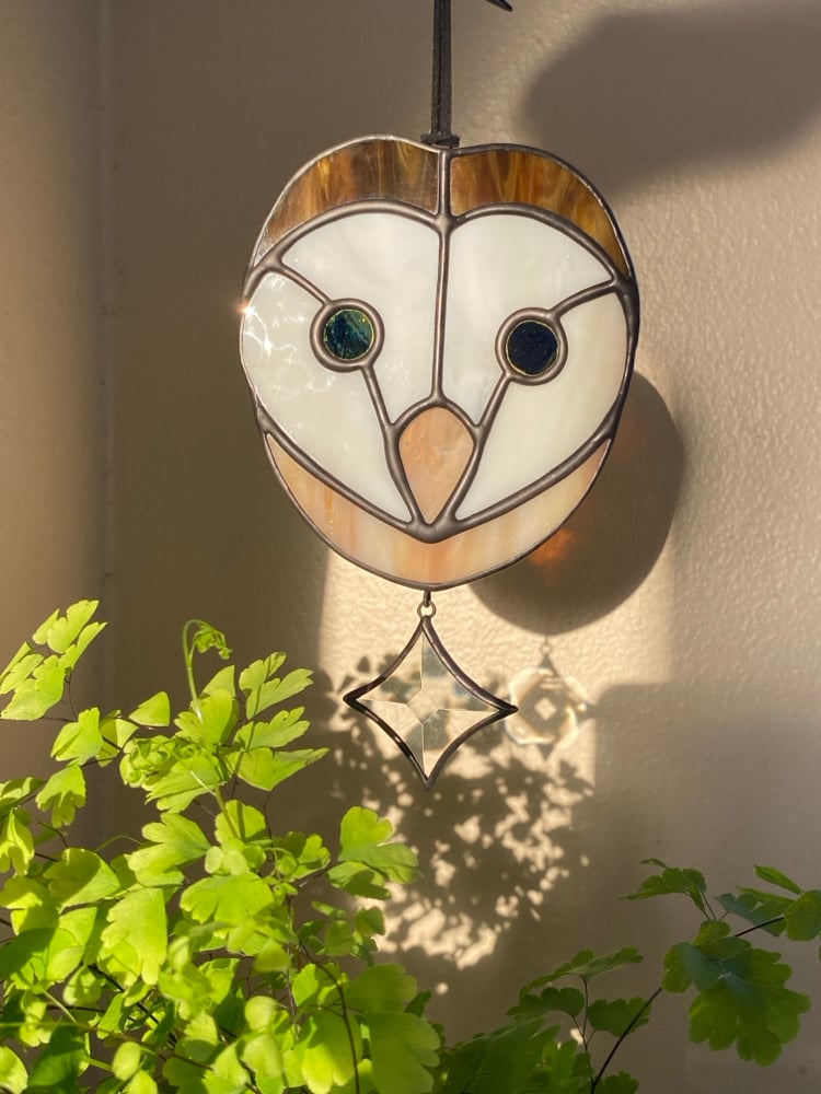 Image of Barn Owl with Star