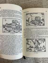 Image 18 of Le dictionnaire de l’occulter de la magie d’Yvan Galikoff, Édition luxe J. de Bonnot, 1992.