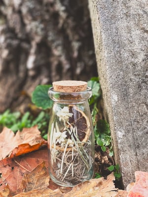 Image of Small oddity jar